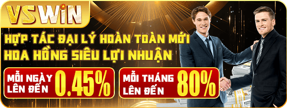 đại lý VSwin